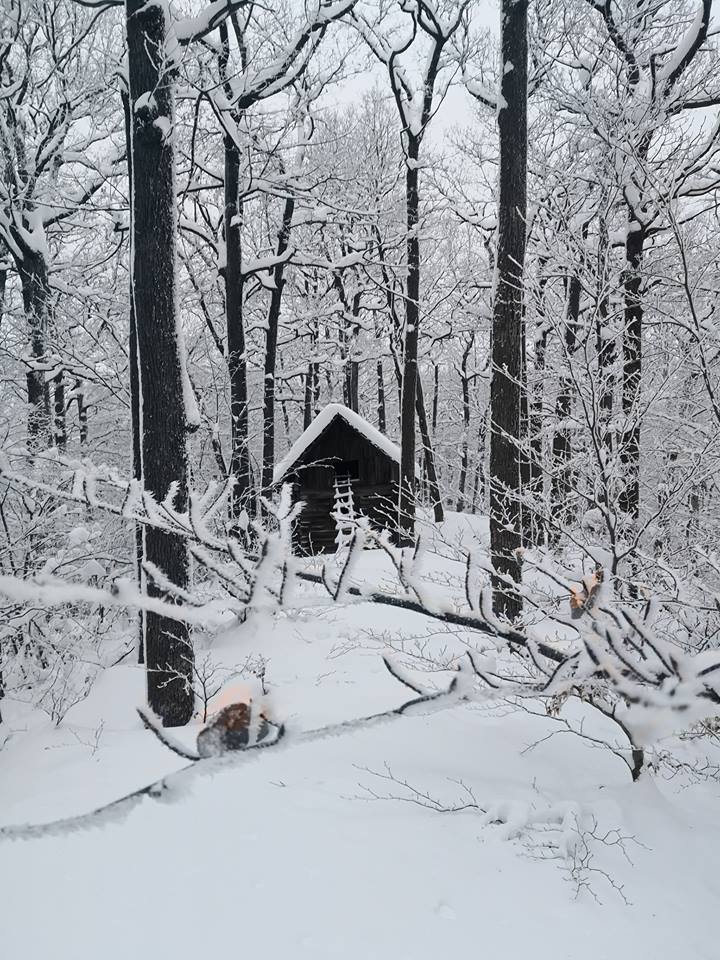 Refugiu — casă de foc